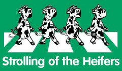 STROLLING OF THE HEIFERS