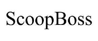 SCOOPBOSS