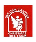 LIVE OAK CANYON CHRISTMAS TREE FARM