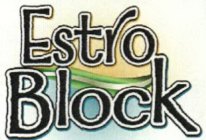 ESTRO BLOCK