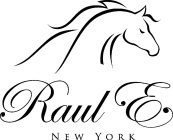 RAUL E NEW YORK