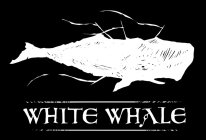 WHITE WHALE