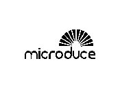 MICRODUCE