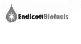 ENDICOTT BIOFUELS