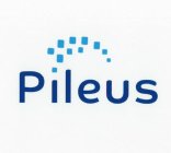 PILEUS