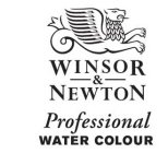 WINSOR & NEWTON PROFESSIONAL WATER COLOUR