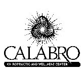 CALABRO CHIROPRACTIC AND WELLNESS CENTER