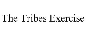 THE TRIBES EXERCISE