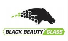 BLACK BEAUTY GLASS