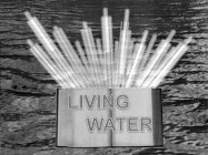 LIVING WATER