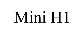 MINI H1