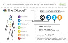 C THE C-LEVEL PROPRIETARY BRANDING & LABELING SYSTEM FOR FARMS/PRIVATE LABEL DISPENSARIES KANNALIFE A PHYTO-MEDICAL COMPANY STRAIN PROFILE IDENTIFIER (EXAMPLE) A QUICK REFERENCE IDENTIFIER TO BE PLACE