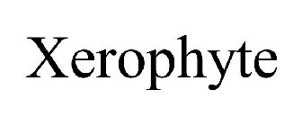 XEROPHYTE