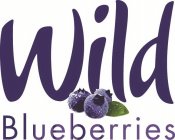 WILD BLUEBERRIES