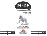 DOMINO SHAMPOO PARA EQUINOS HORSE SHAMPOO FORTALECE EL PELAJE Y ESTIMULA SU CRECIMIENTO STRENGTHENS AND STIMULATES HAIR GROWTH CON EXTRACTO DE CHILE CONTAINS CHILE EXTRACT
