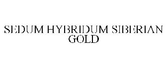 SEDUM HYBRIDUM SIBERIAN GOLD