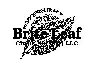 BRITE LEAF CITRUS NURSERY, LLC