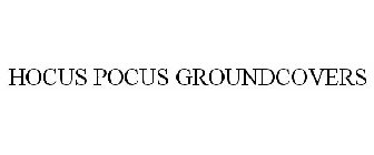 HOCUS POCUS GROUNDCOVERS