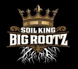 SOIL KING BIG ROOTZ