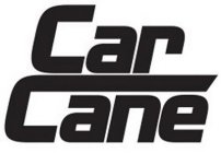 CAR CANE