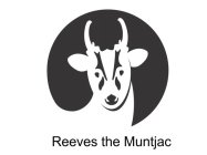 REEVES THE MUNTJAC