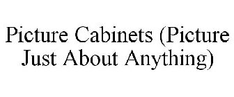 PICTURE CABINETS (PICTURE JUST ABOUT ANYTHING)