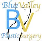 BLUE VALLEY BV PLASTIC SURGERY