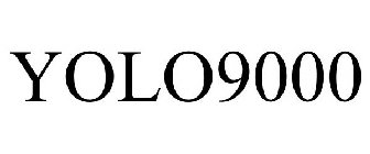 YOLO9000