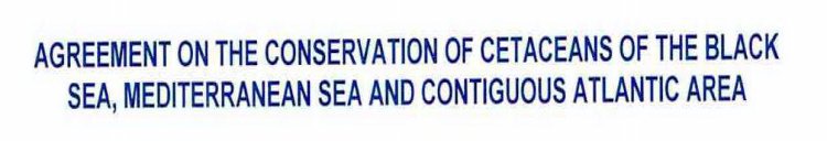 AGREEMENT ON THE CONSERVATION OF CETACEANS OF THE BLACK SEA, MEDITERRANEAN SEA AND CONTIGUOUS ATLANTIC AREA