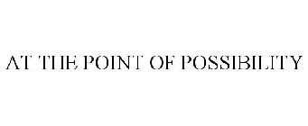 AT THE POINT OF POSSIBILITY