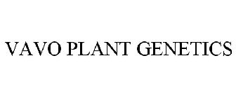 VAVO PLANT GENETICS