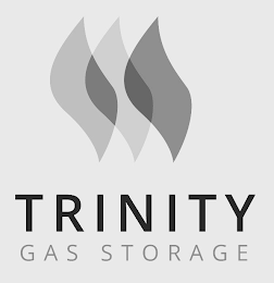 TRINITY GAS STORAGE