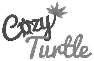 COZY TURTLE