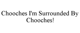 CHOOCHES I'M SURROUNDED BY CHOOCHES!