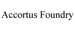 ACCORTUS FOUNDRY