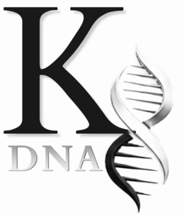 K DNA