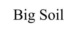 BIG SOIL