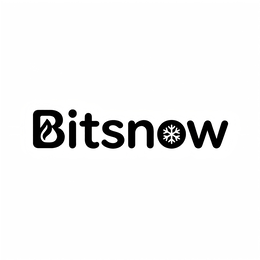 BITSNOW