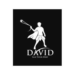 DAVID SLAY YOUR DEBT Trademark Application of Sequium Asset Solutions ...