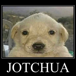 JOTCHUA