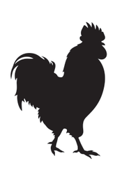 Image Trademark