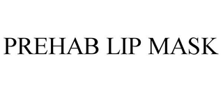 PREHAB LIP MASK