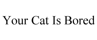 YOUR CAT IS BORED