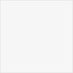 AXEPROTEX