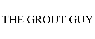 THE GROUT GUY