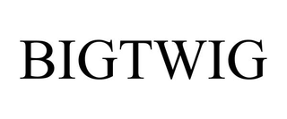 BIGTWIG