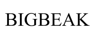 BIGBEAK