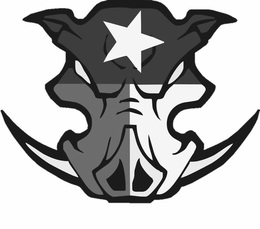 Image Trademark