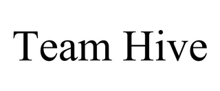 TEAM HIVE