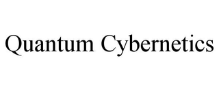 QUANTUM CYBERNETICS